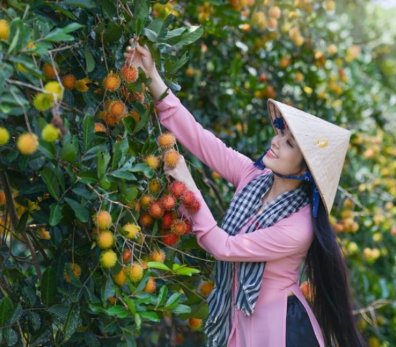 Begin your Soc Trang Tours with a scenic adventure